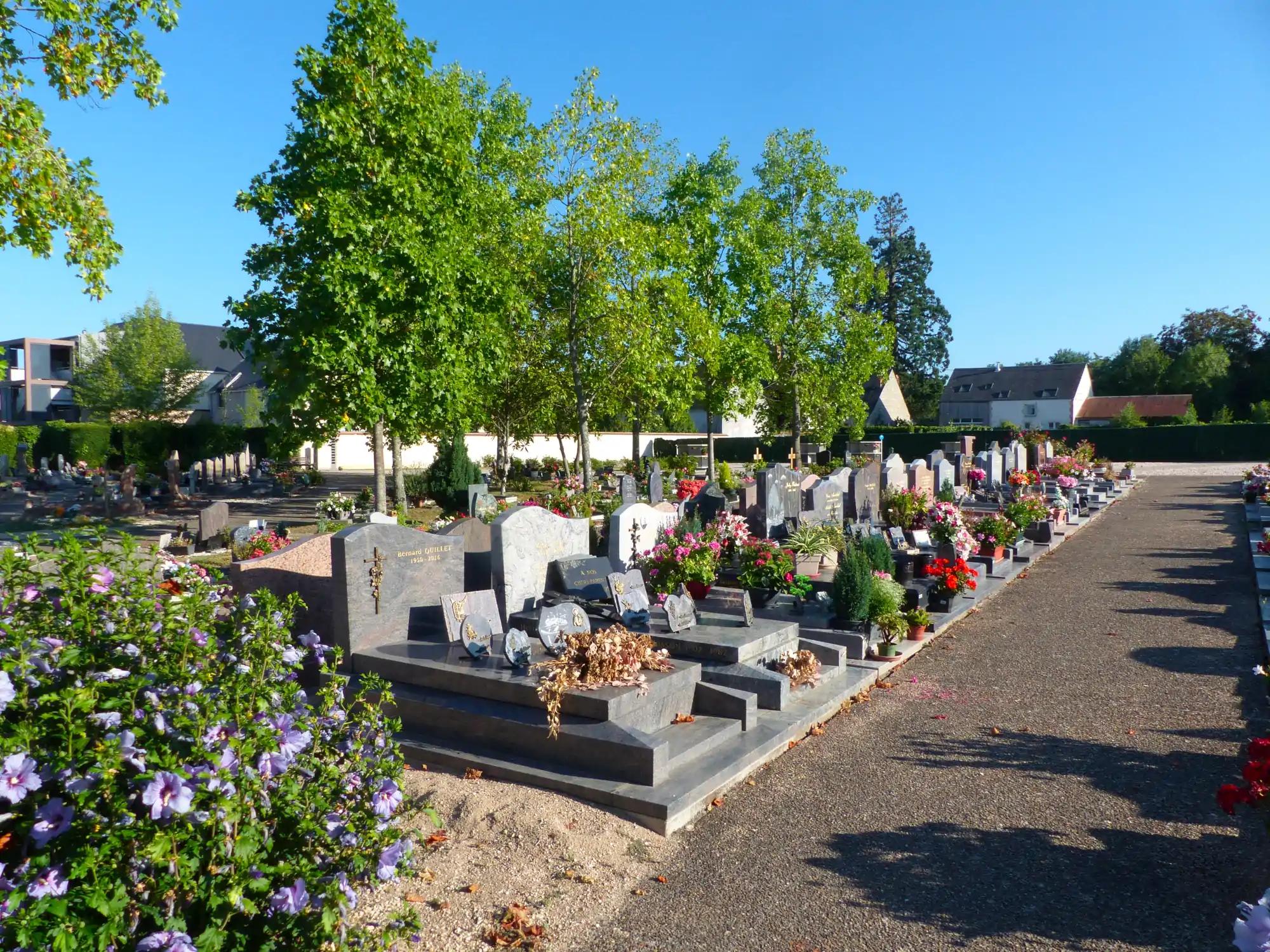 allée de pierre tombales dans un cimetière